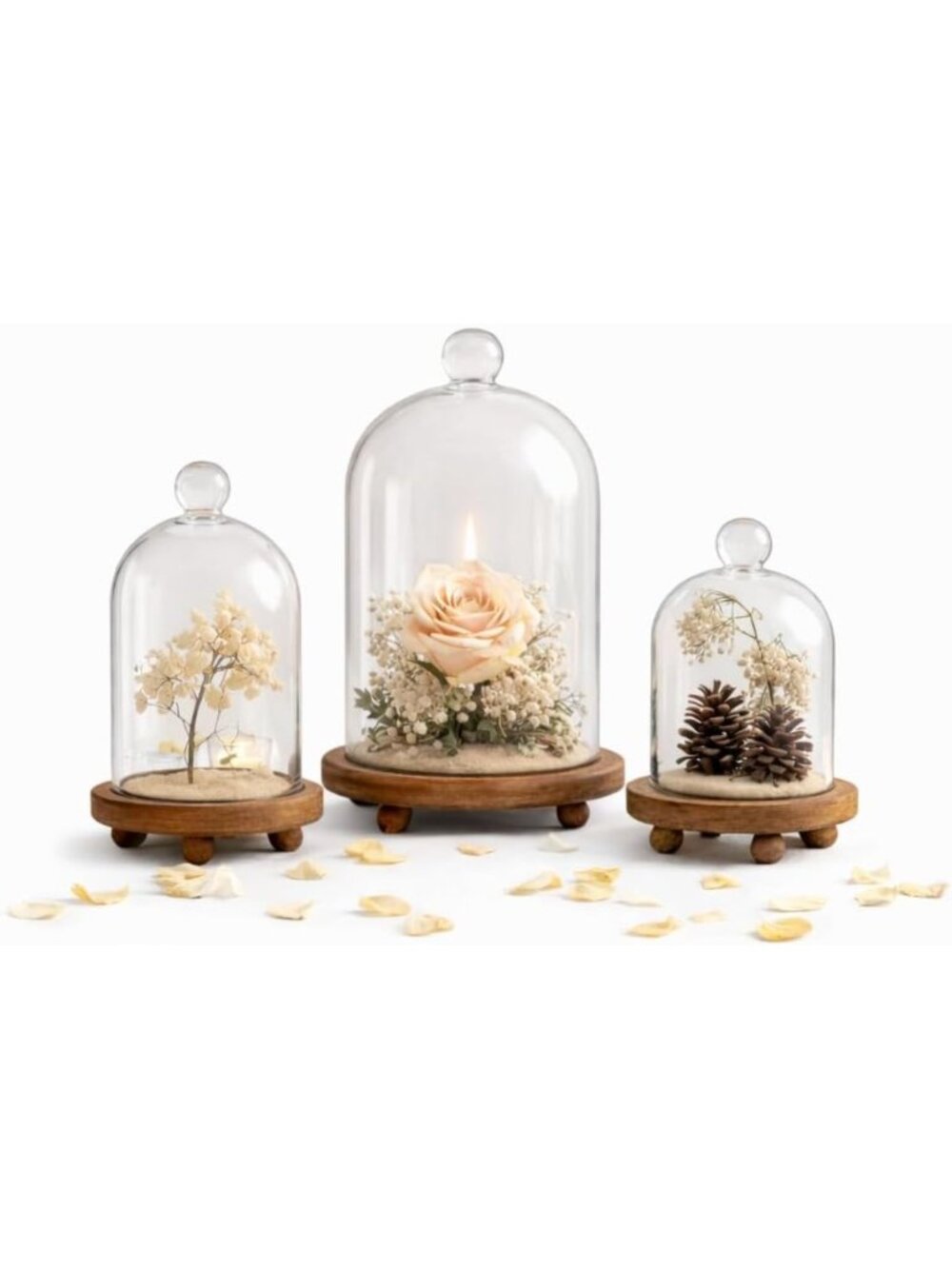 3-Piece Glass Cloche Dome Set with Wood Base | Decorative Display Domes 5.7"-4.3